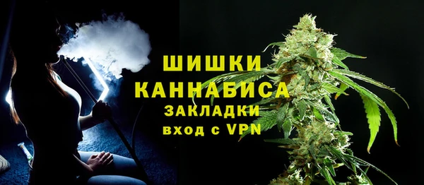 ГАЛЛЮЦИНОГЕННЫЕ ГРИБЫ Балахна
