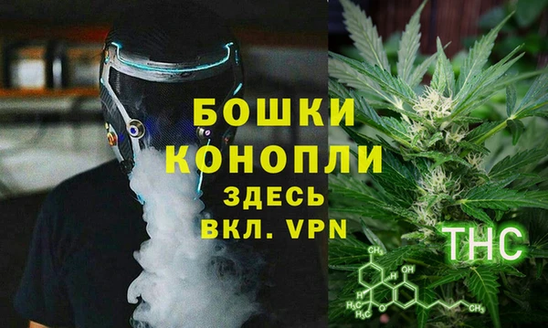 дмт Аркадак