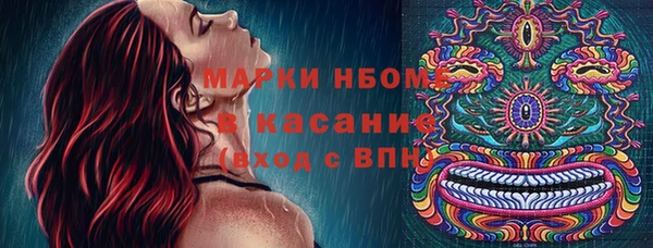 стафф Снежногорск