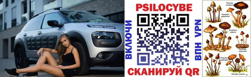 Псилоцибиновые грибы Psilocybine cubensis  Балтийск 