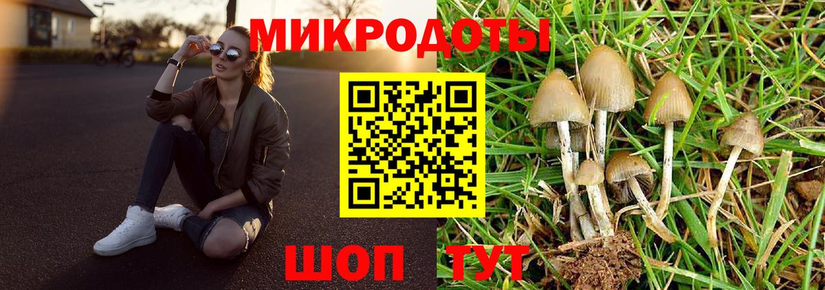 Псилоцибиновые грибы прущие грибы Балтийск