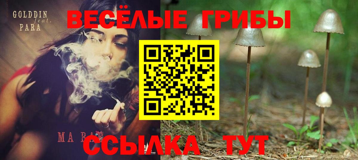 Галлюциногенные грибы мицелий  Вход с VPN  Балтийск  Псилоцибиновые грибы мицелий 