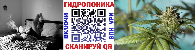 Шишки марихуана индика  Балтийск 
